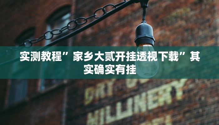 实测教程”家乡大贰开挂透视下载”其实确实有挂
