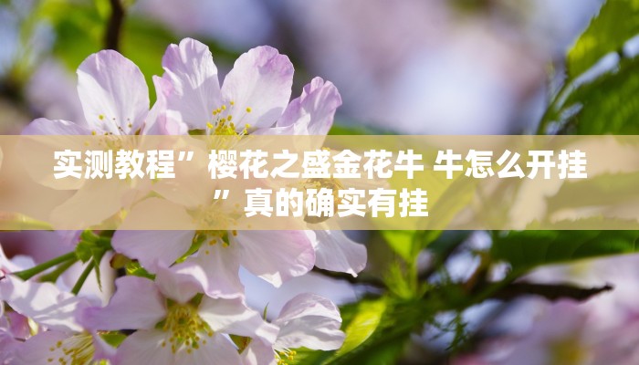 实测教程”樱花之盛金花牛 牛怎么开挂”真的确实有挂