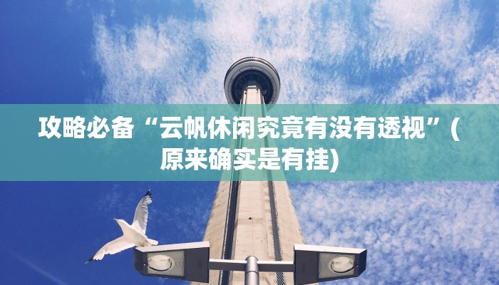 攻略必备“云帆休闲究竟有没有透视”(原来确实是有挂)
