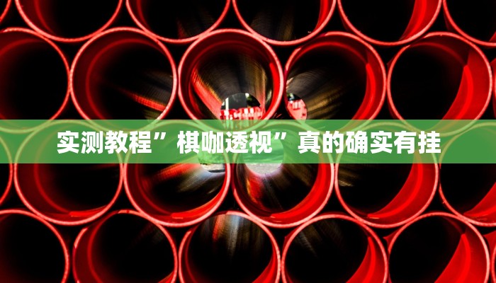 实测教程”棋咖透视”真的确实有挂