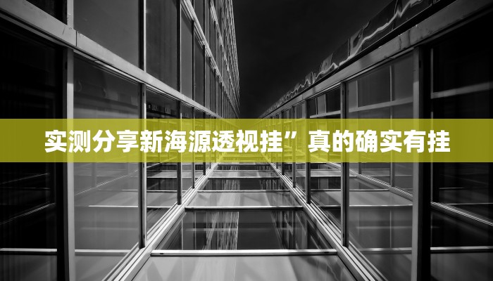 实测分享新海源透视挂”真的确实有挂