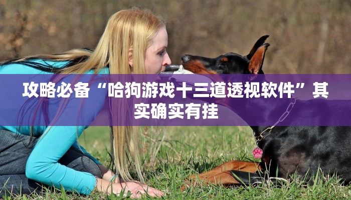 攻略必备“微乐北京麻将有透视吗”真的确实有挂