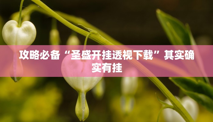 攻略必备“圣盛开挂透视下载”其实确实有挂
