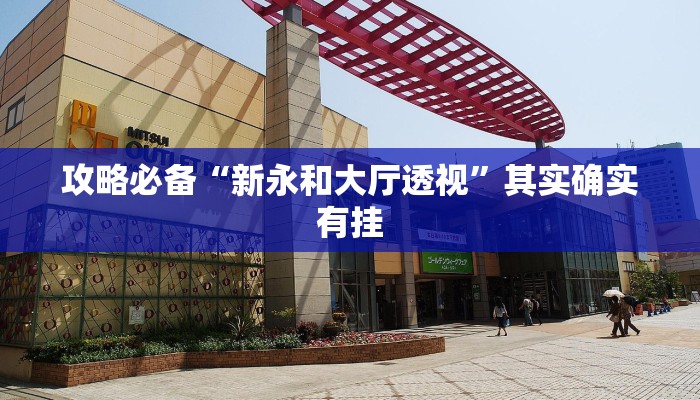 攻略必备“新永和大厅透视”其实确实有挂

