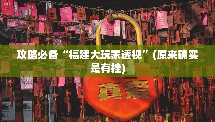 攻略必备“福建大玩家透视”(原来确实是有挂)