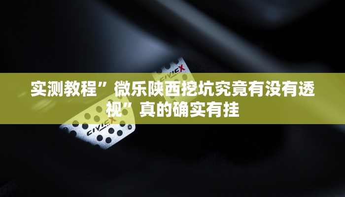 实测教程”微乐陕西挖坑究竟有没有透视”真的确实有挂