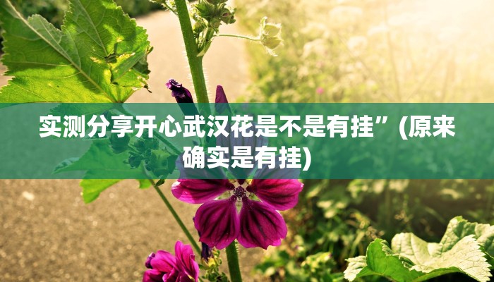 实测分享开心武汉花是不是有挂”(原来确实是有挂)