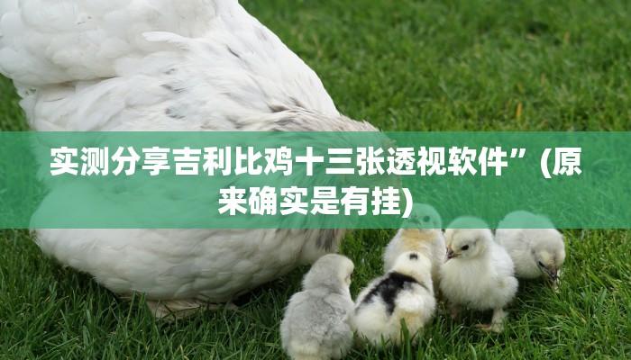 实测分享吉利比鸡十三张透视软件”(原来确实是有挂)