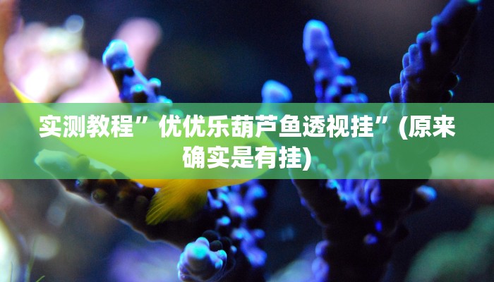 实测教程”海南骨牌是不是有挂”(原来确实是有挂)