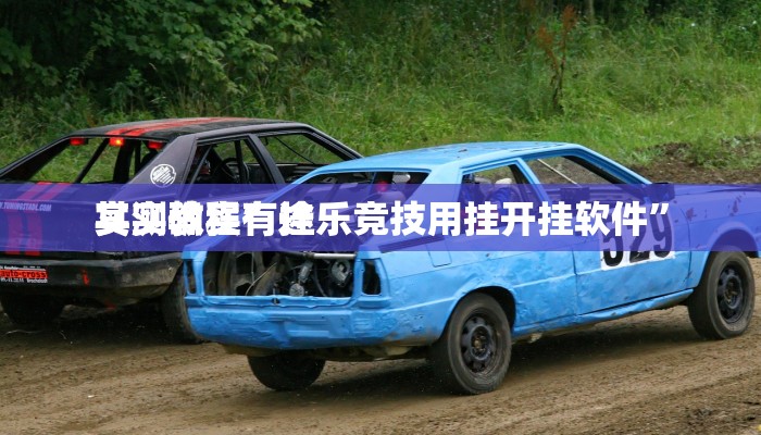 实测教程”途乐竞技用挂开挂软件”
其实确实有挂
