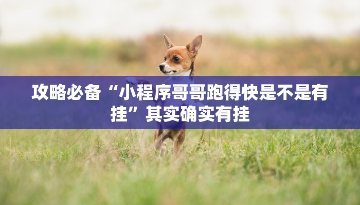 攻略必备“小程序哥哥跑得快是不是有挂”其实确实有挂
