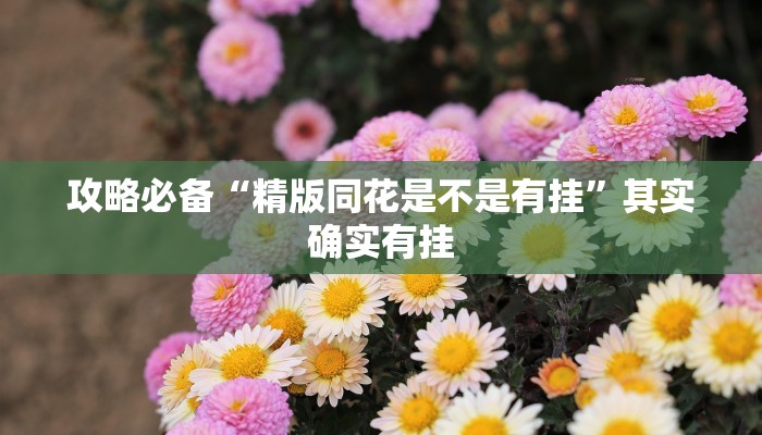 攻略必备“精版同花是不是有挂”其实确实有挂
