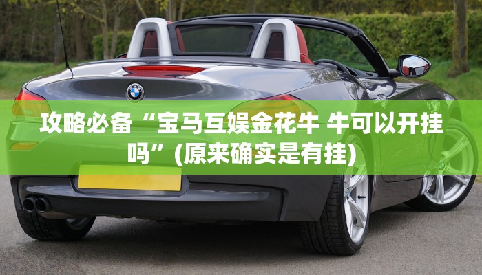 攻略必备“飞驰娱乐用挂开挂软件”
(原来确实是有挂)