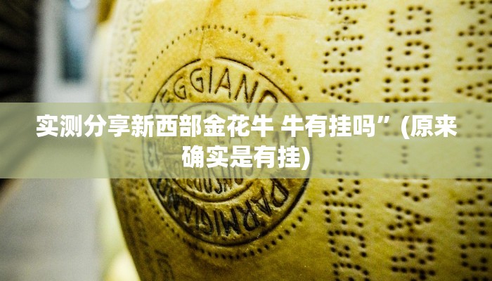 实测教程”边锋二七十怎么用挂”其实确实有挂
