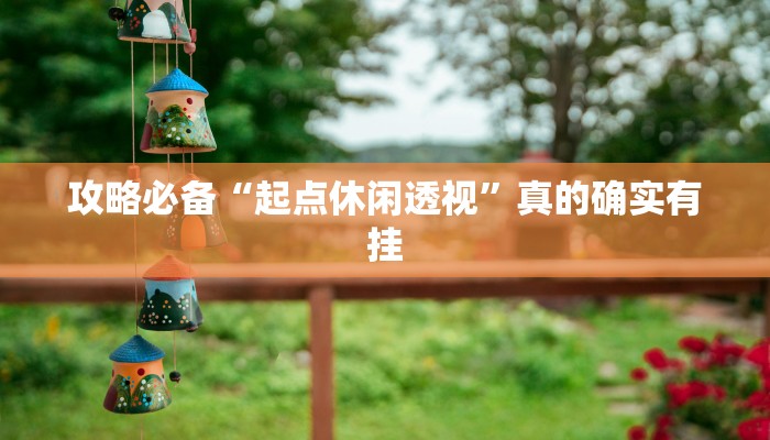 攻略必备“起点休闲透视”真的确实有挂