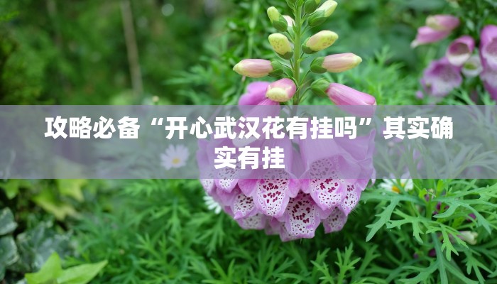 攻略必备“开心武汉花有挂吗”其实确实有挂
