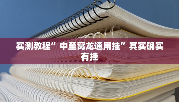 实测教程”中至窝龙通用挂”其实确实有挂
