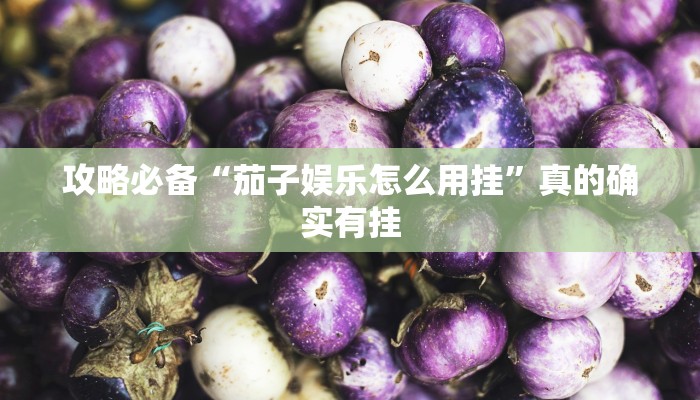 攻略必备“茄子娱乐怎么用挂”真的确实有挂