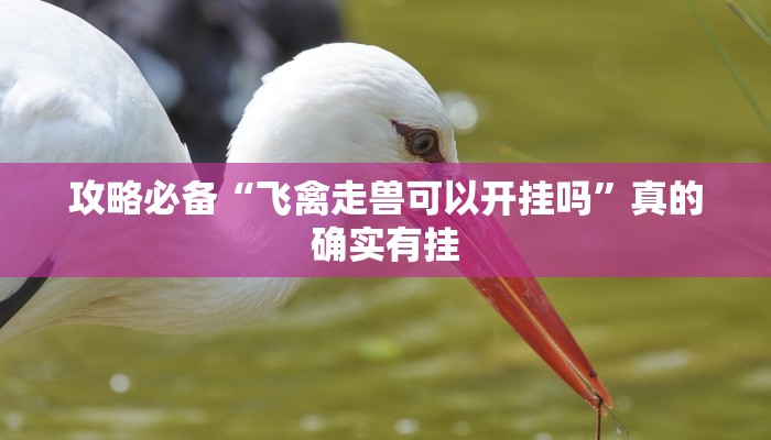 攻略必备“飞禽走兽可以开挂吗”真的确实有挂