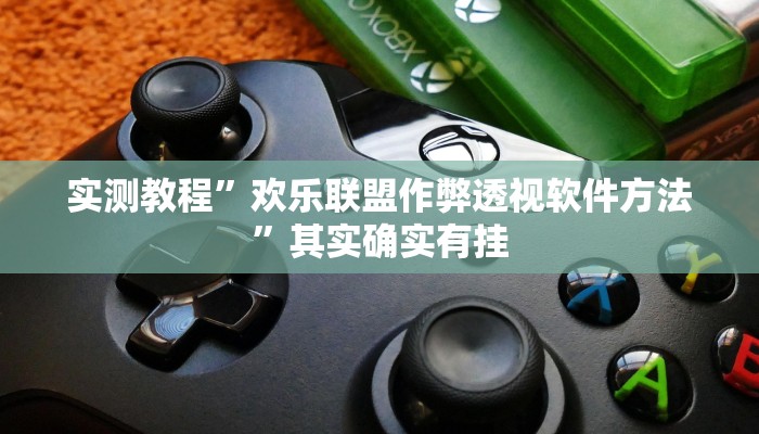实测教程”欢乐联盟作弊透视软件方法”其实确实有挂
