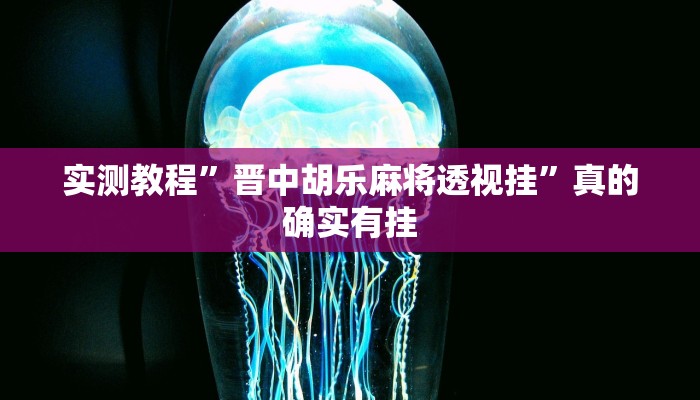 实测教程”晋中胡乐麻将透视挂”真的确实有挂