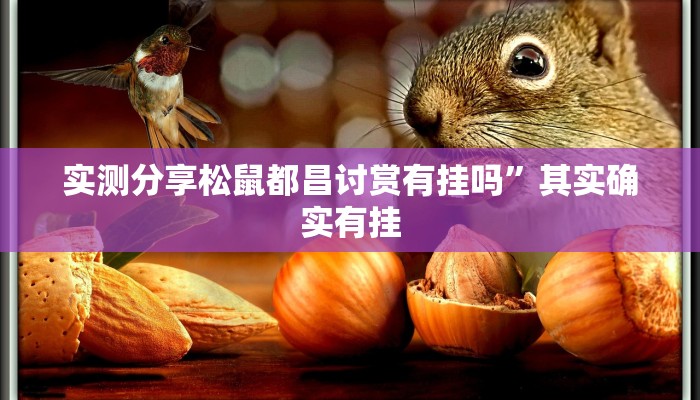 实测分享松鼠都昌讨赏有挂吗”其实确实有挂
