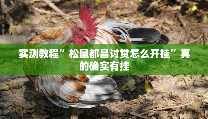 实测教程”松鼠都昌讨赏怎么开挂”真的确实有挂