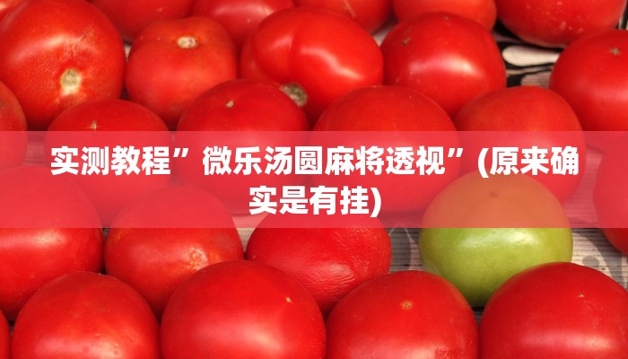 实测教程”微乐汤圆麻将透视”(原来确实是有挂)