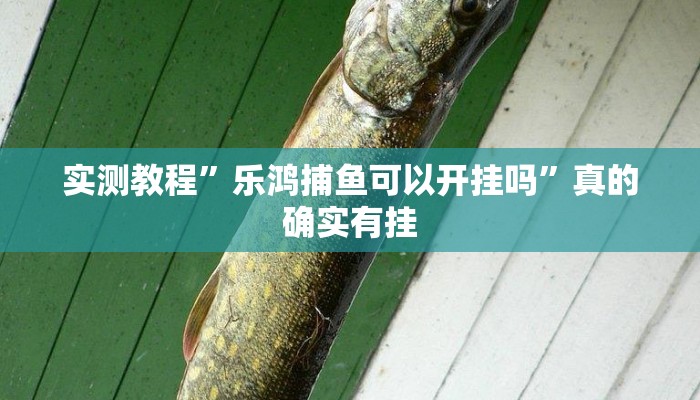 实测教程”乐鸿捕鱼可以开挂吗”真的确实有挂