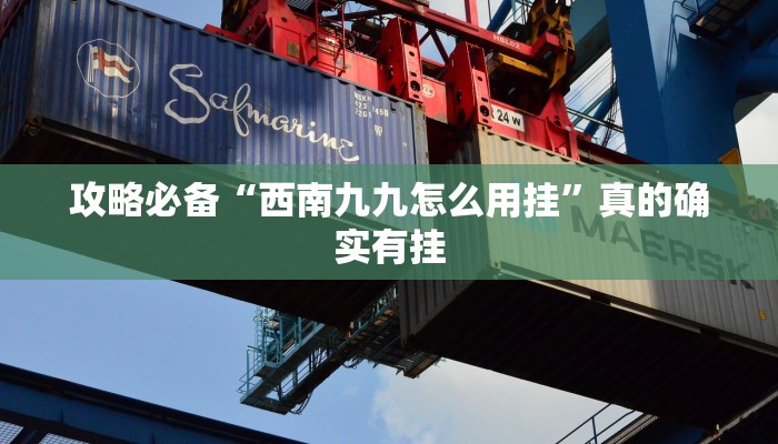 攻略必备“西南九九怎么用挂”真的确实有挂