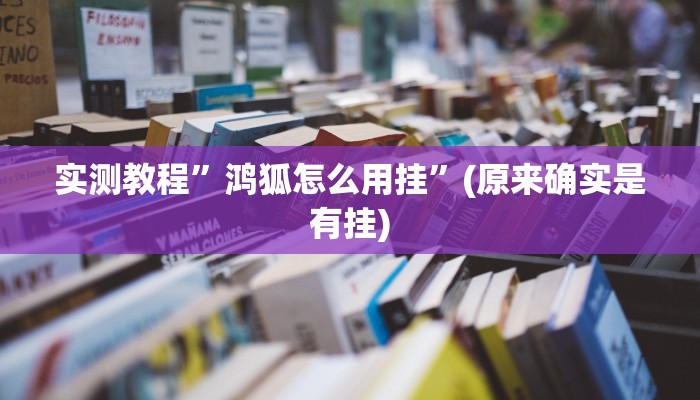 实测教程”鸿狐怎么用挂”(原来确实是有挂)
