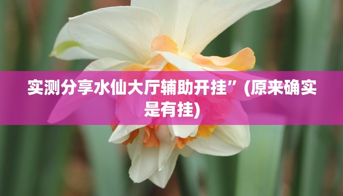 实测分享水仙大厅辅助开挂”(原来确实是有挂)