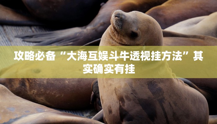 攻略必备“大海互娱斗牛透视挂方法”其实确实有挂

