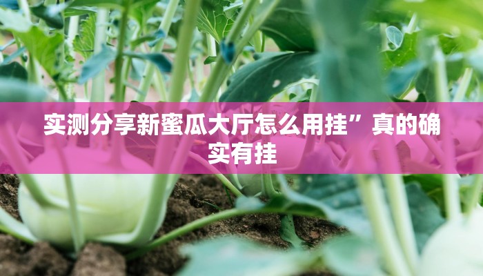 实测分享新蜜瓜大厅怎么用挂”真的确实有挂