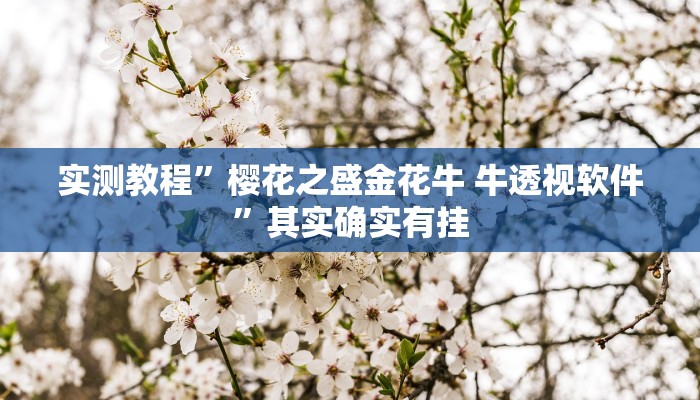 实测教程”樱花之盛金花牛 牛透视软件”其实确实有挂
