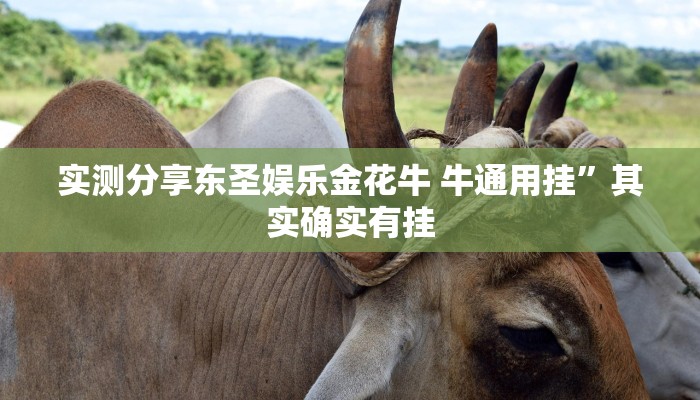 实测分享东圣娱乐金花牛 牛通用挂”其实确实有挂
