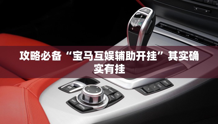 攻略必备“宝马互娱辅助开挂”其实确实有挂
