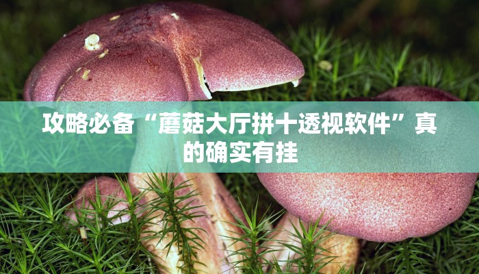 攻略必备“蘑菇大厅拼十透视软件”真的确实有挂
