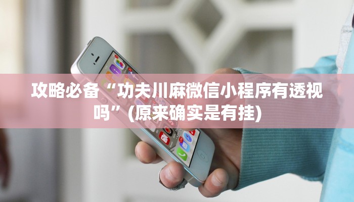 攻略必备“功夫川麻微信小程序有透视吗”(原来确实是有挂)