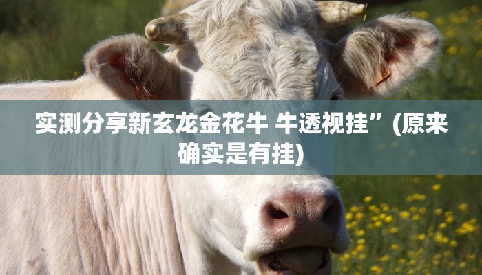 实测分享新玄龙金花牛 牛透视挂”(原来确实是有挂)