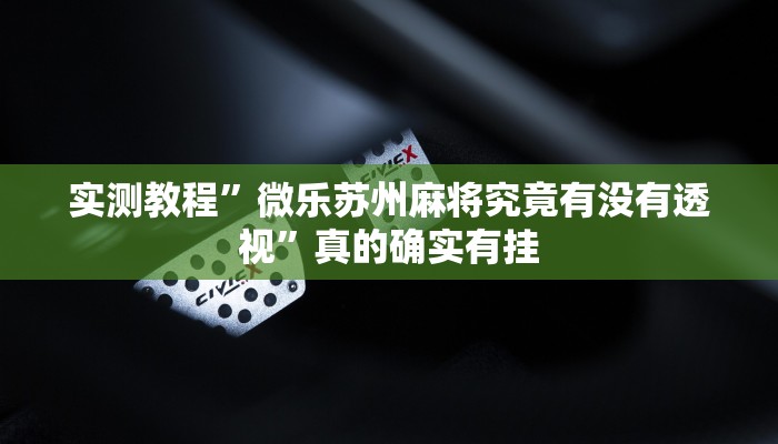 攻略必备“天天踢填大坑透视软件”(原来确实是有挂)