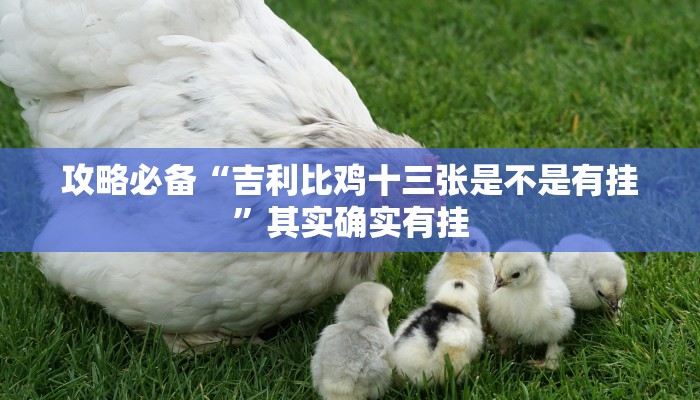 攻略必备“吉利比鸡十三张是不是有挂”其实确实有挂
