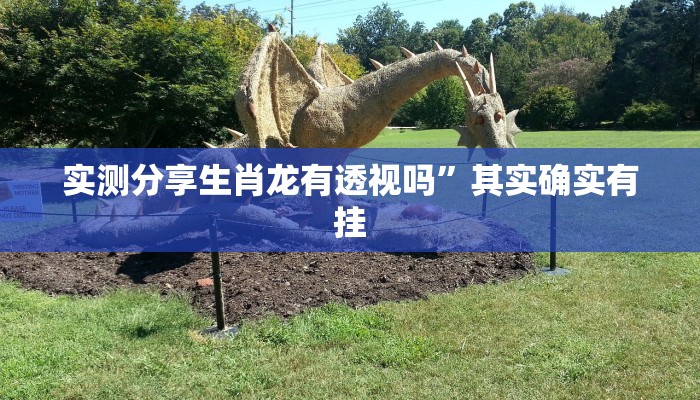 实测分享生肖龙有透视吗”其实确实有挂

