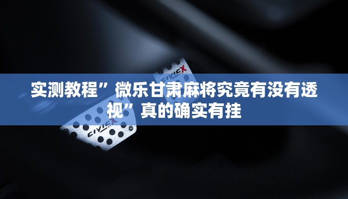 实测教程”微乐甘肃麻将究竟有没有透视”真的确实有挂