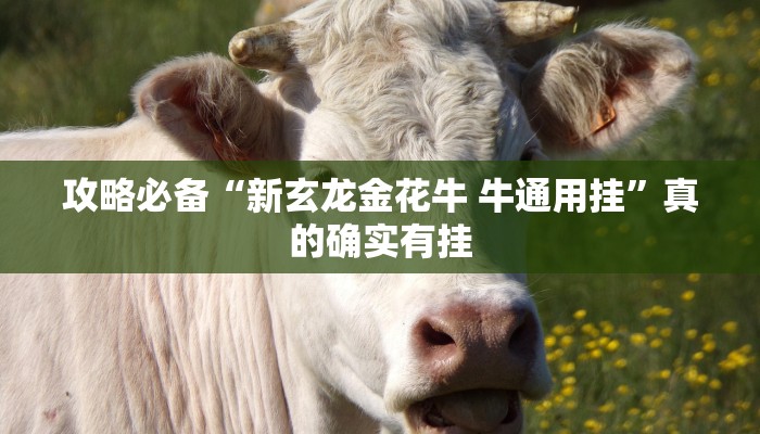 攻略必备“新玄龙金花牛 牛通用挂”真的确实有挂