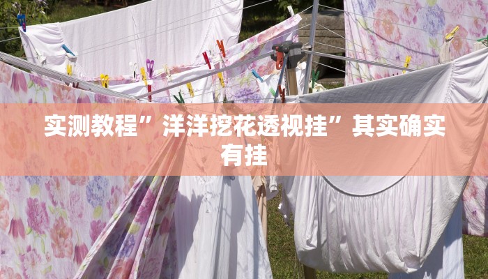 实测教程”洋洋挖花透视挂”其实确实有挂
