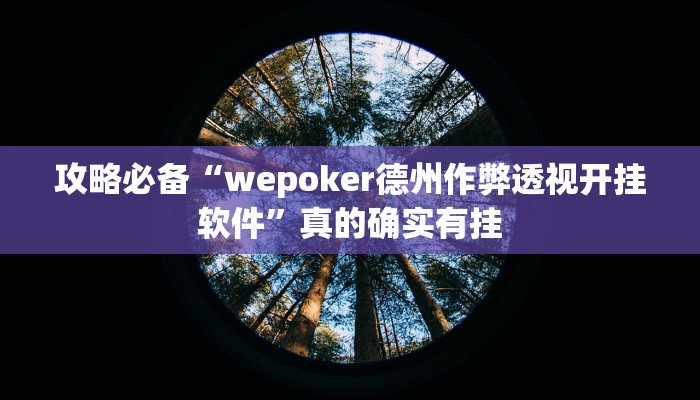 攻略必备“wepoker德州作弊透视开挂软件”真的确实有挂