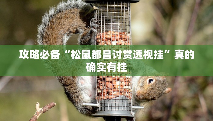 攻略必备“松鼠都昌讨赏透视挂”真的确实有挂