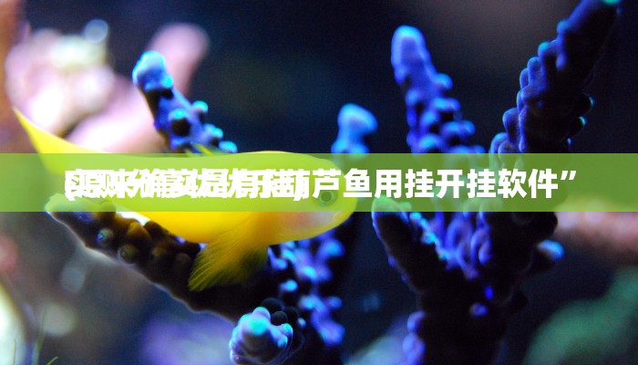 实测分享优优乐葫芦鱼用挂开挂软件”
(原来确实是有挂)