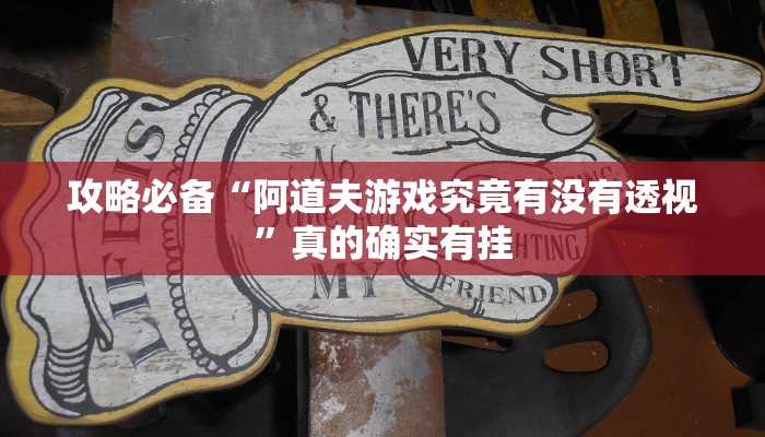 攻略必备“阿道夫游戏究竟有没有透视”真的确实有挂